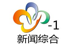 武汉新闻综合频道直播